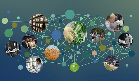 8 февраля – День российской науки